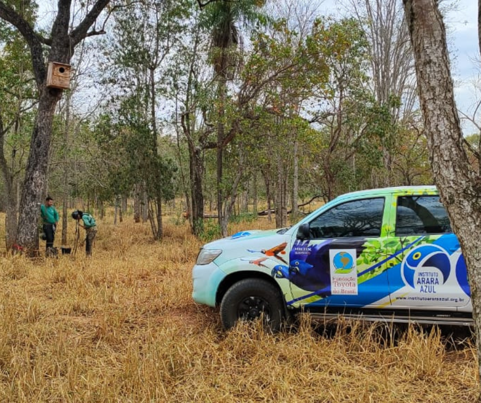 monitoramento-ninhos-artificiais-instituto-arara-azul-estancia-mimosa