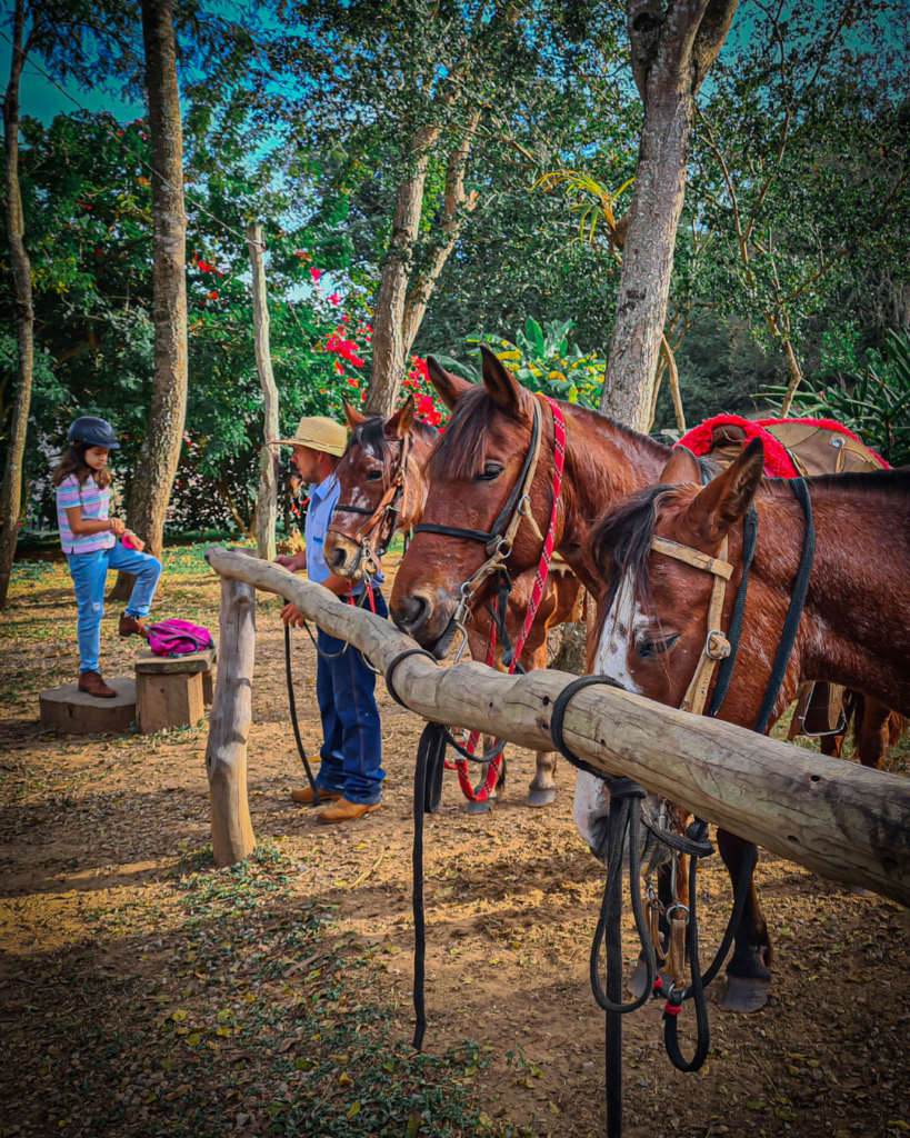 passeio-a-cavalo-crianças-bonito-ms