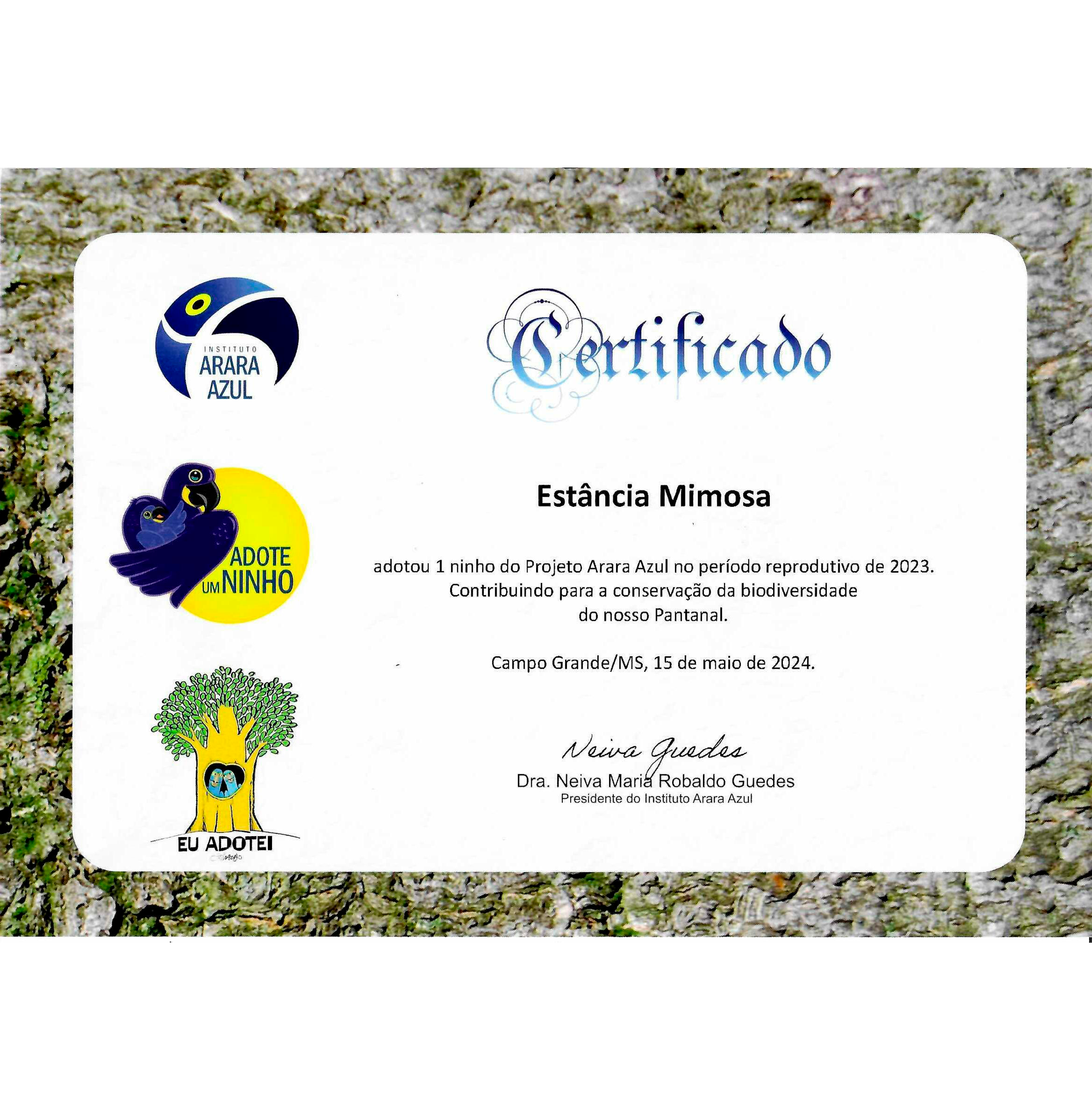 Certificado_MIMOSA-Instituto-Arara-Azul